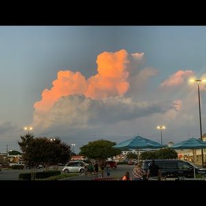 Meet your Posher, Reagan